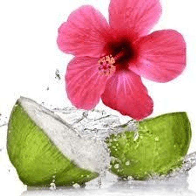 Soap Massage Bar - Hibiscus &amp; Coconut Water 
