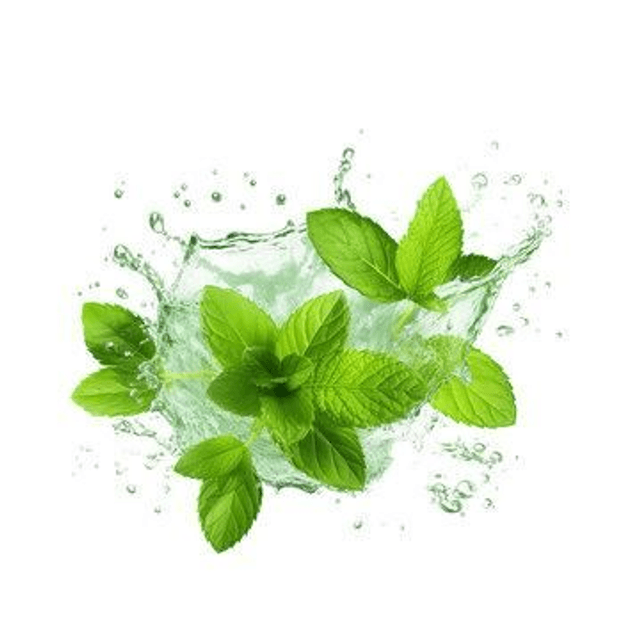 Mint &amp; Tea Tree 