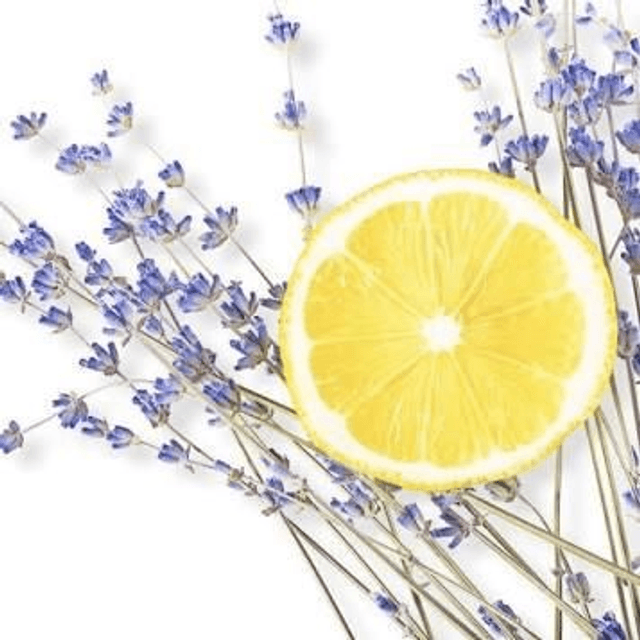 Lavender &amp; Lemon 
