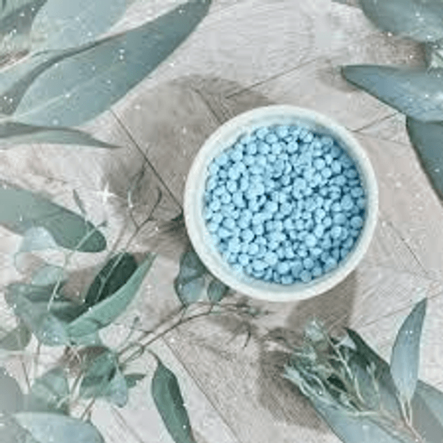 Lenny Frosted Eucalyptus 