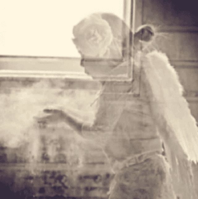 Ghosts